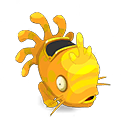 Muldo Ambre et Doré