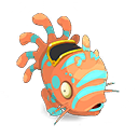 Muldo Corail et Aigue-marine