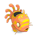 Muldo Corail et Doré